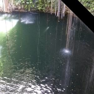 Meet your Posher, Marlene